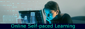 online self-paced learning