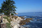Pacific