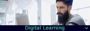 Cloud-based learning: available online.