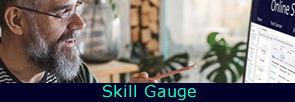 Skill Gauge